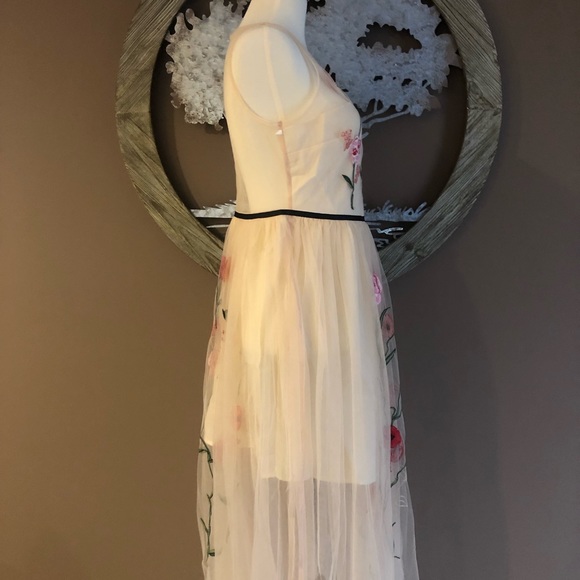 🆕Blush Floral Embroidered Dress 🌺 - Picture 4 of 5